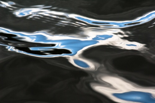 Water Detail, Upland Pond, Sussex County, NJ 09 07 (6935SA).jpg Water Detail, Upland Pond, Sussex County, NJ 09 07 (6935SA).jpg